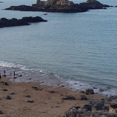 Screenshot_2026-04-24-17-42-40-324_com.miui.gallery